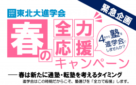 【緊急企画】春の全力応援キャンペーン【期間限定】